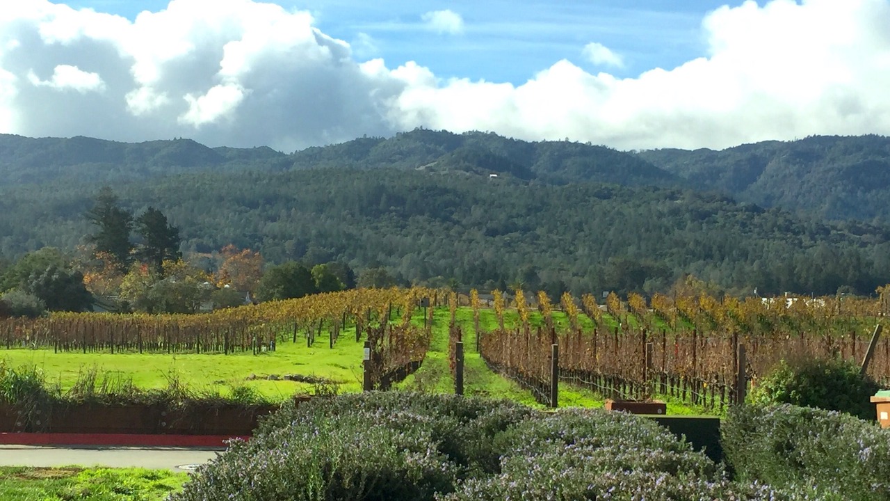 Photo of Outdoor in Cazadero