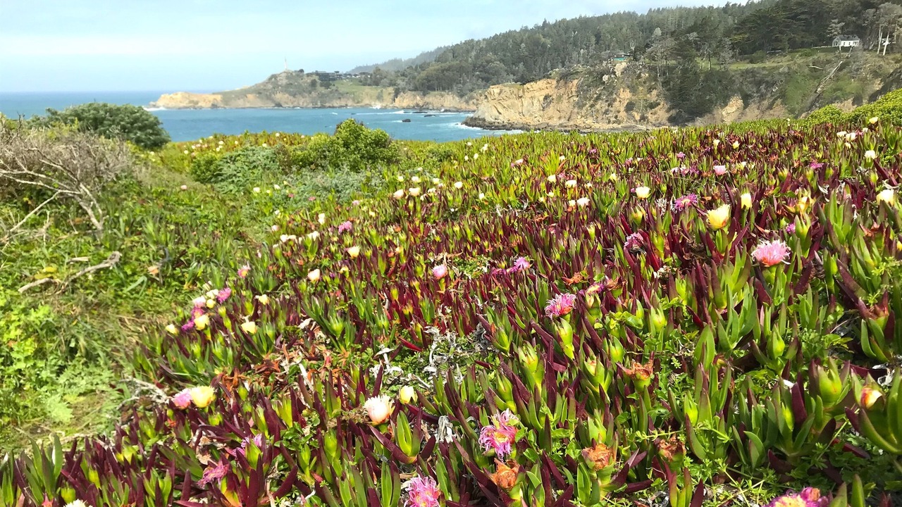 Photo of Outdoor in Cazadero