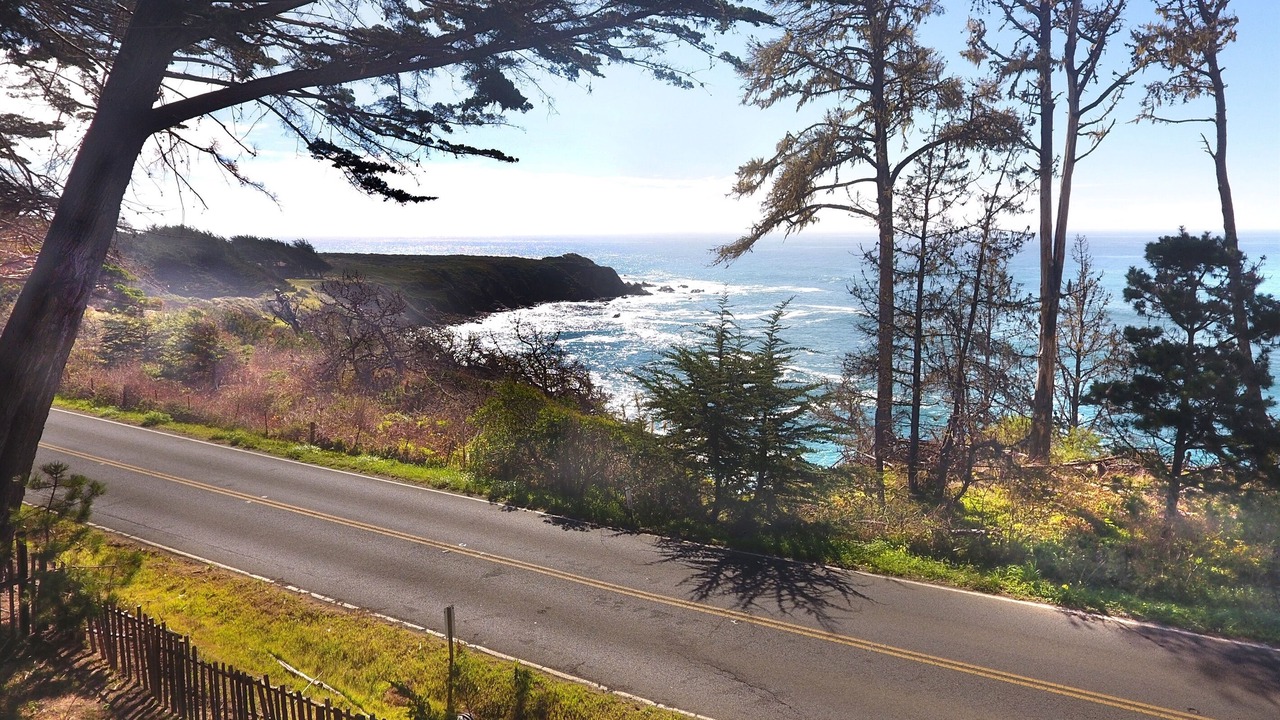 Photo of Others in Cazadero