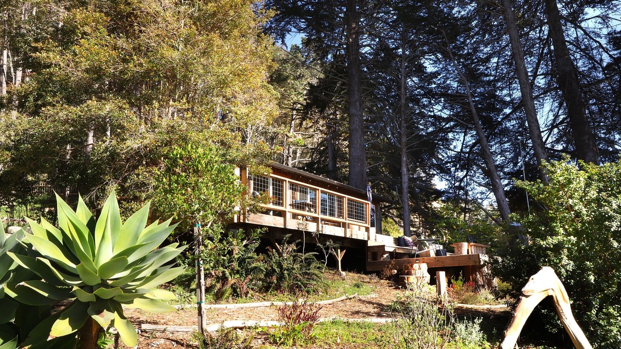 Photo of Outdoor in Cazadero