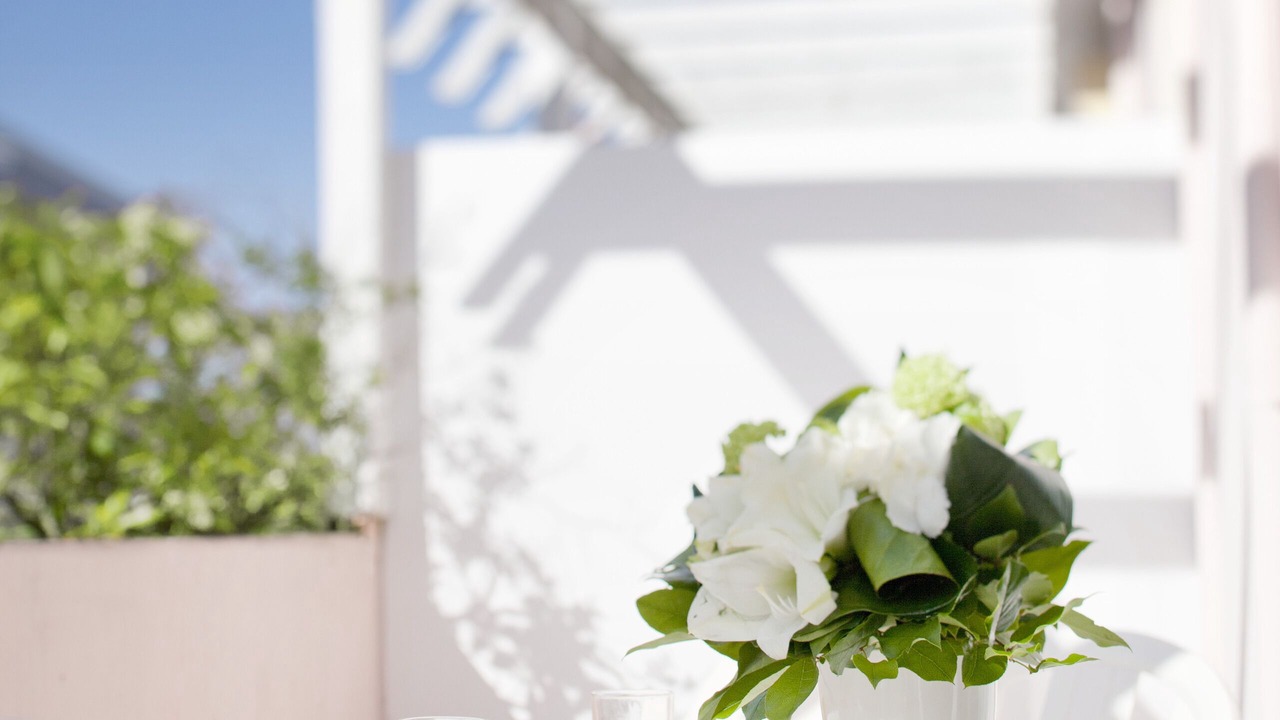 Photo of Others in Dax