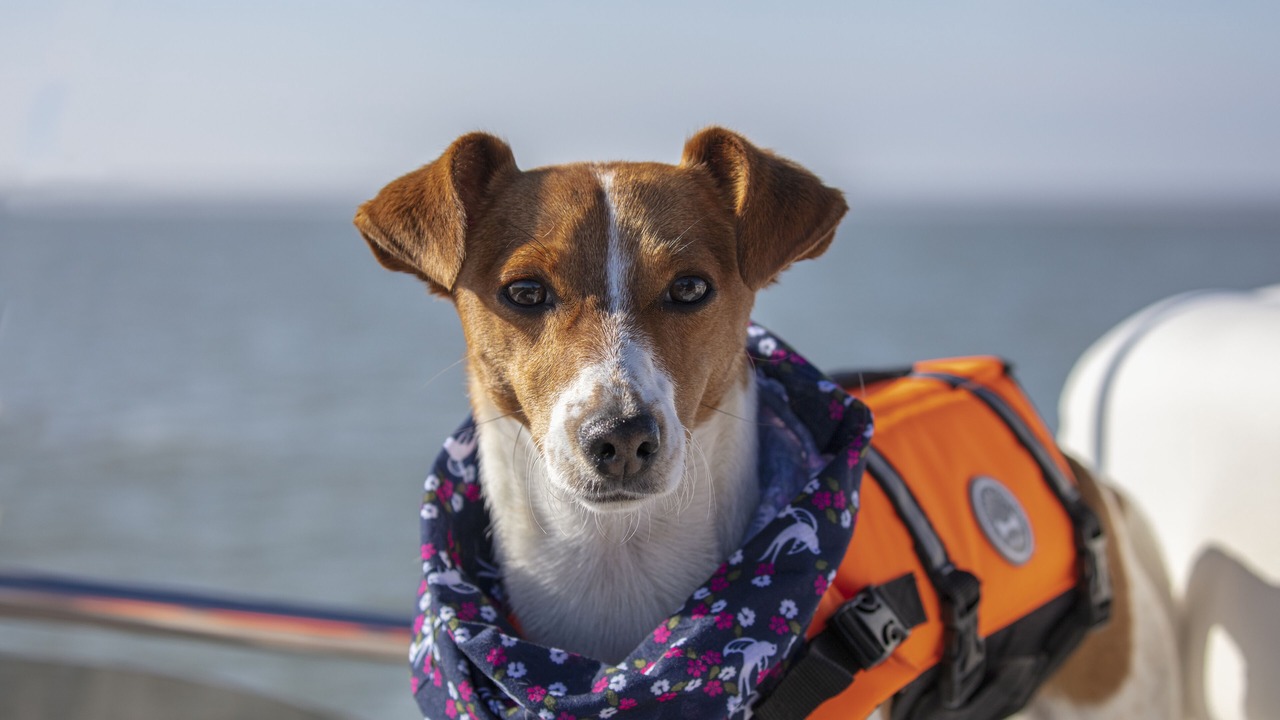 Photo of Others in Woodham Ferrers