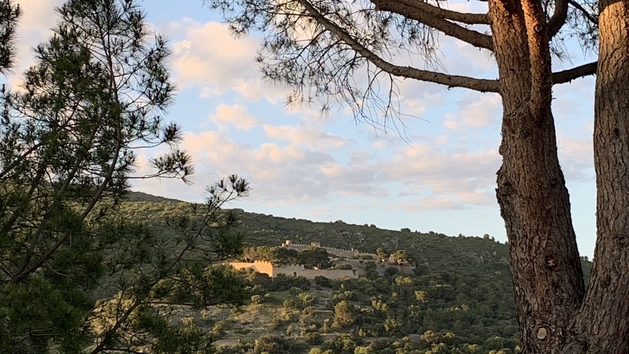 Photo of Others in Montpeyroux