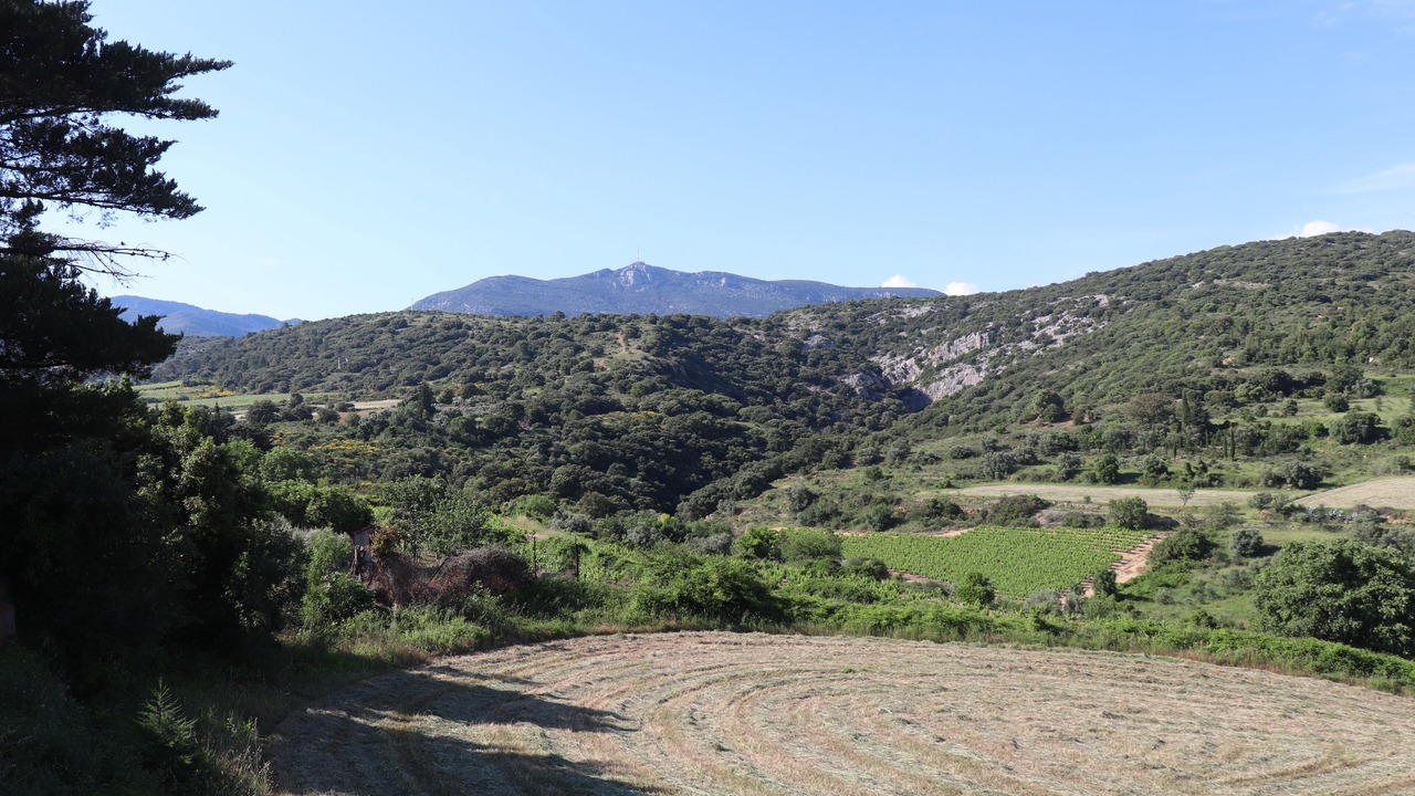 Photo of Outdoor in Montpeyroux