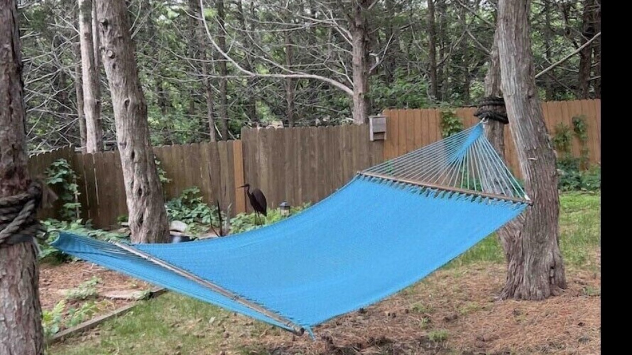 Photo of Outdoor in Crofton