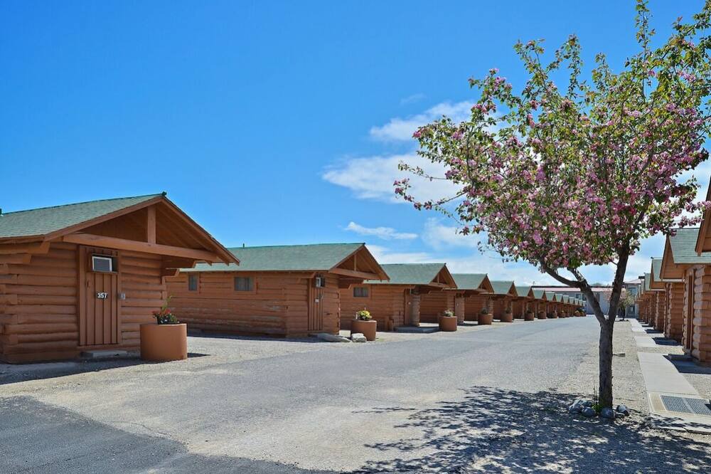 Photo of Outdoor in Cody