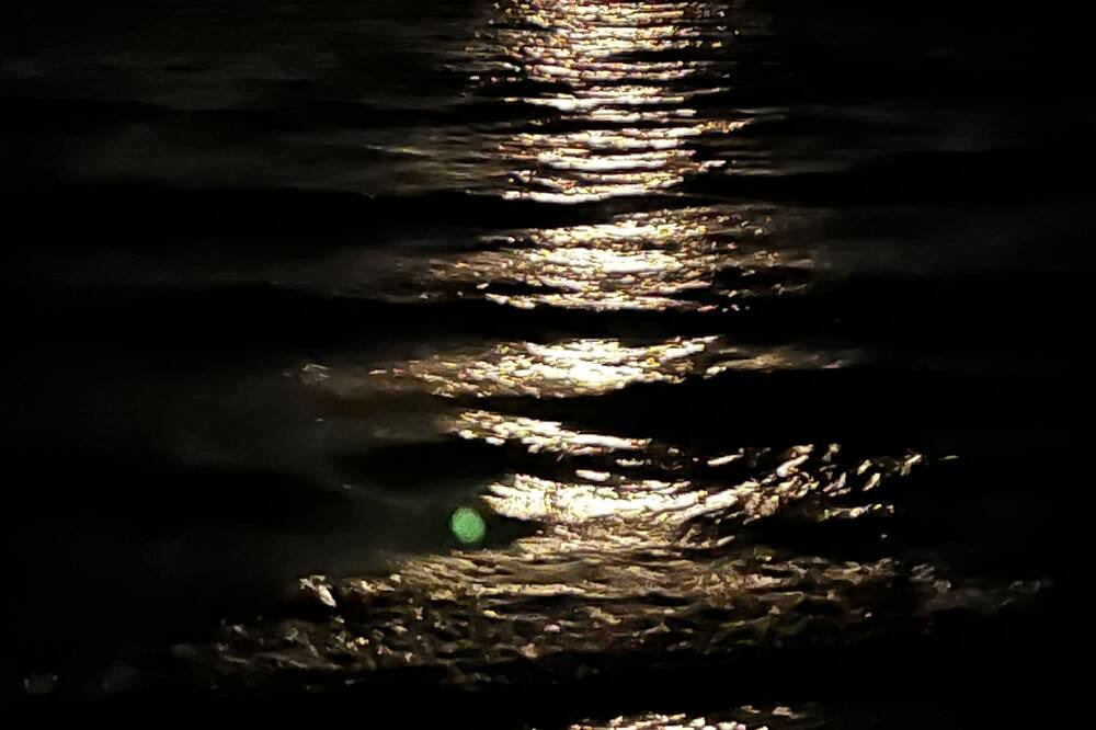 Photo of Others in Pupukea