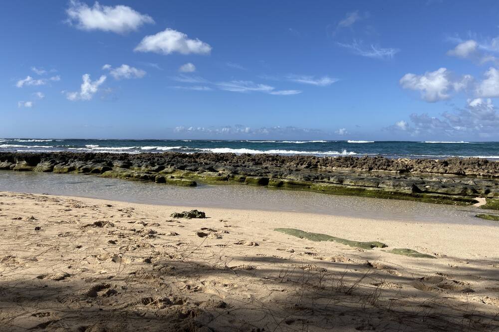 Photo of Outdoor in Pupukea