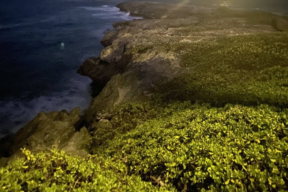 Photo of Others in Pupukea