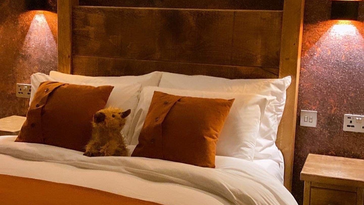 Photo of Bedroom in Holymoorside