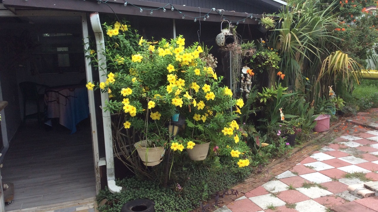 Photo of Outdoor in La Villa Gardens