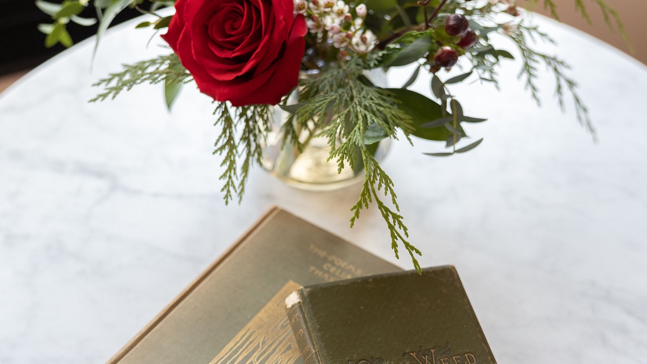 Photo of Outdoor in Portsmouth