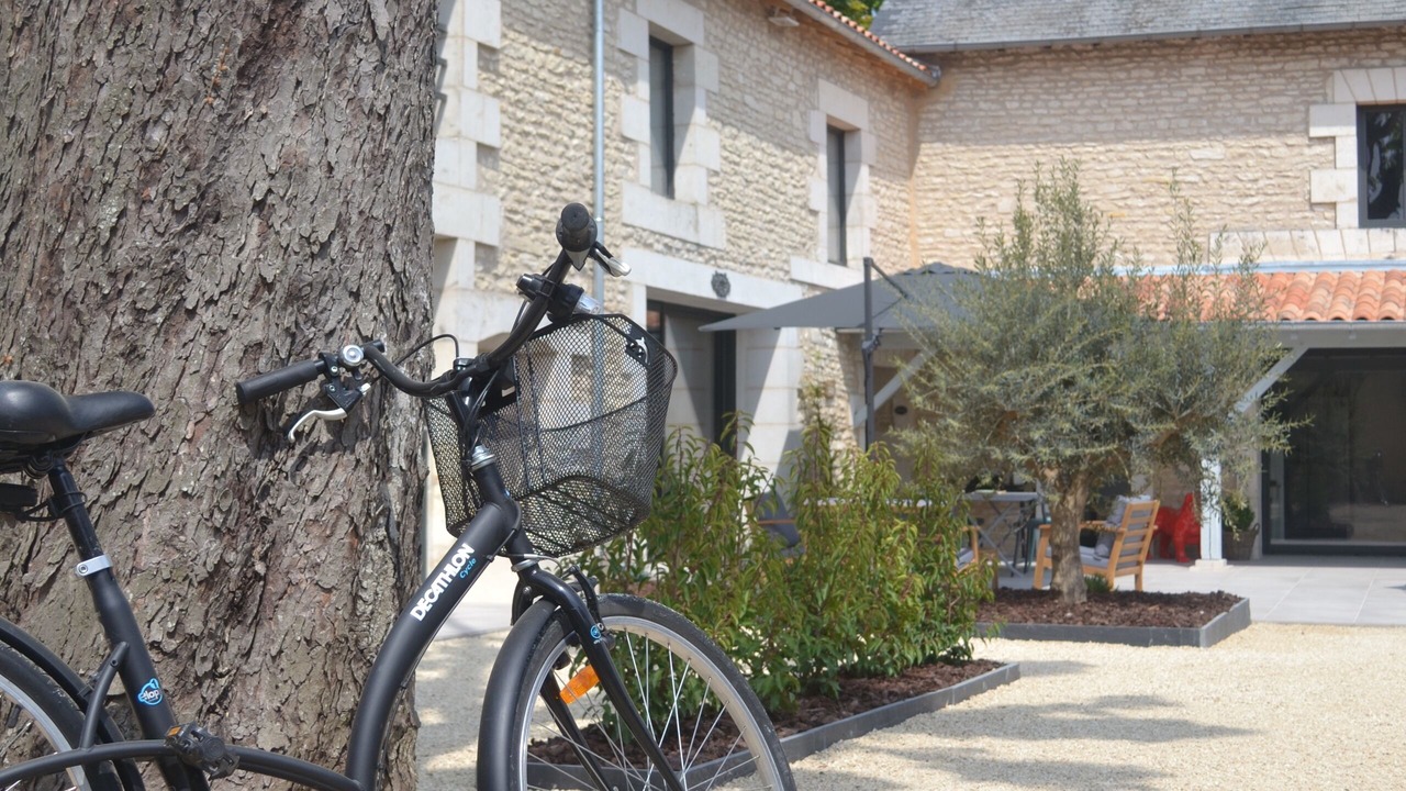 Photo of Outdoor in Neuville-de-Poitou