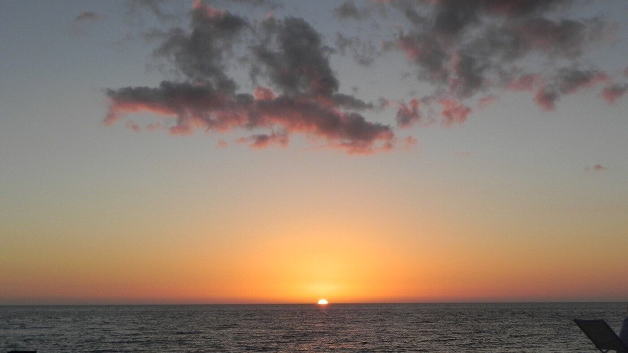 Photo of Others in South Orleans