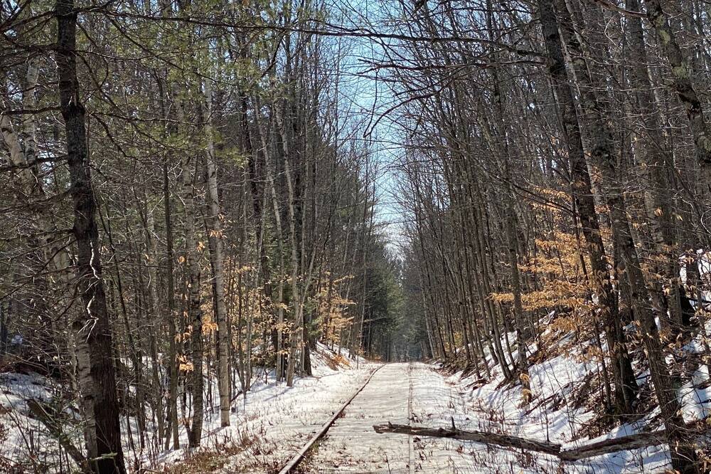 Photo of Outdoor in Silver Lake