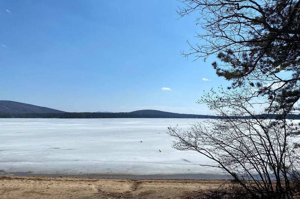 Photo of Others in Silver Lake