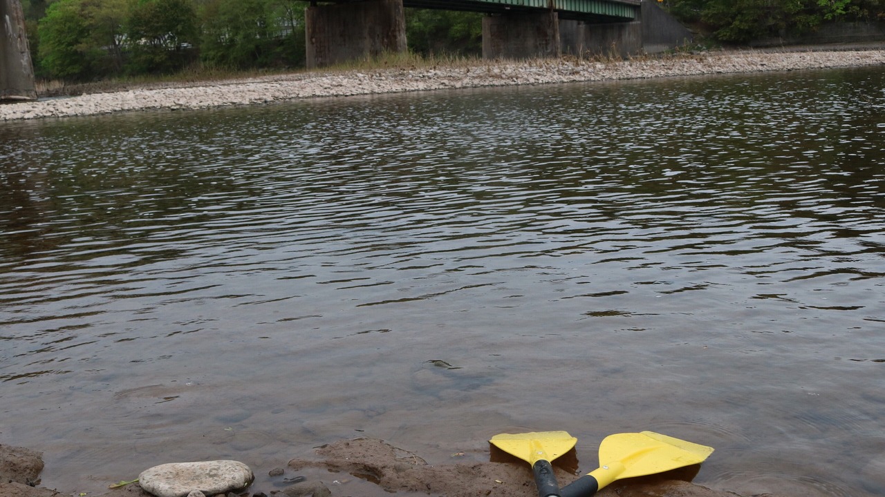 Photo of Others in Callicoon