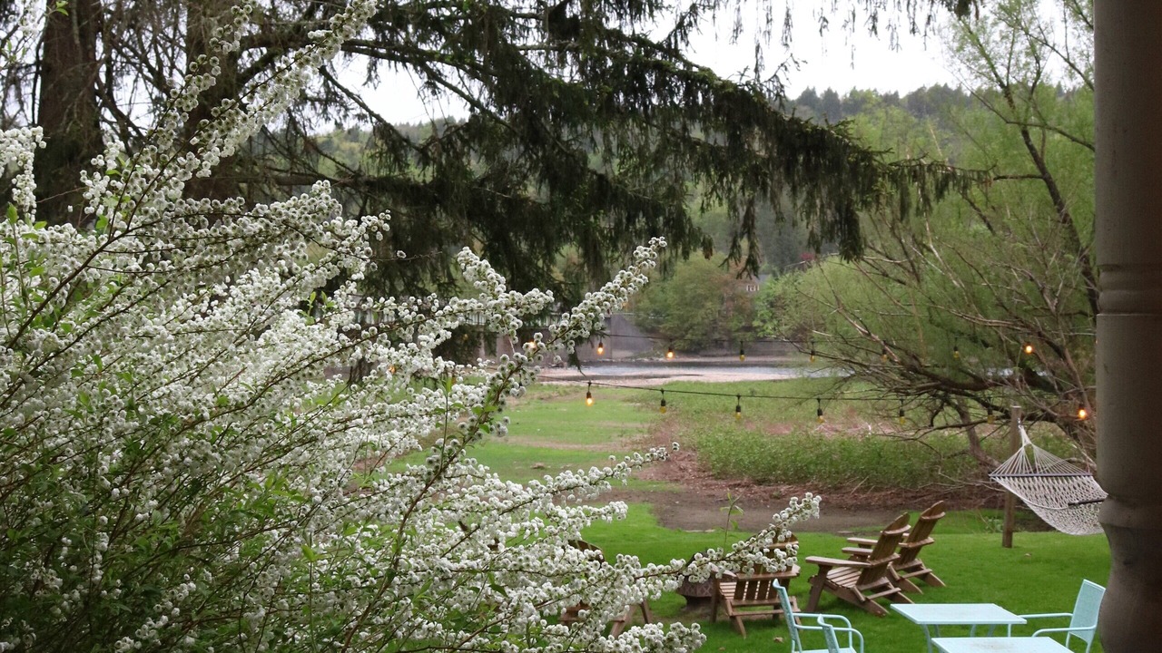 Photo of Outdoor in Callicoon