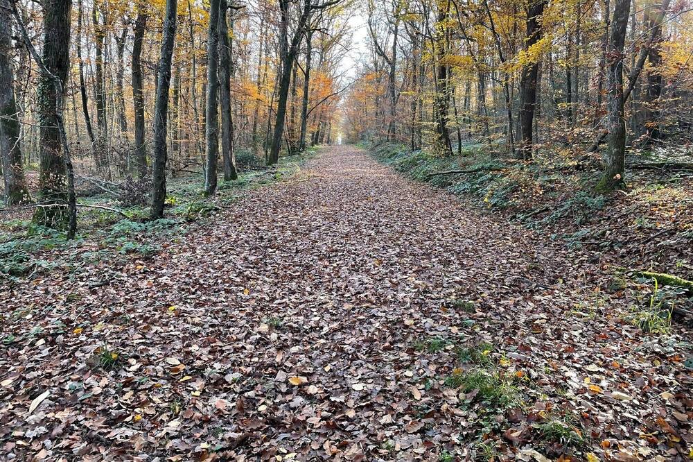 Photo of Outdoor in Dompierre-les-Ormes
