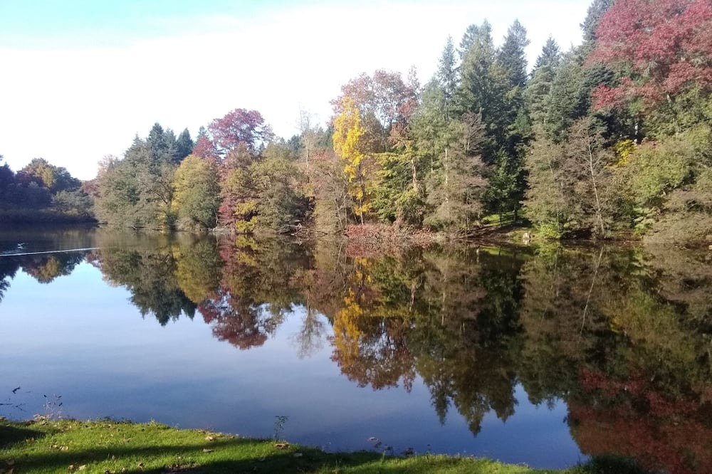 Photo of Outdoor in Dompierre-les-Ormes