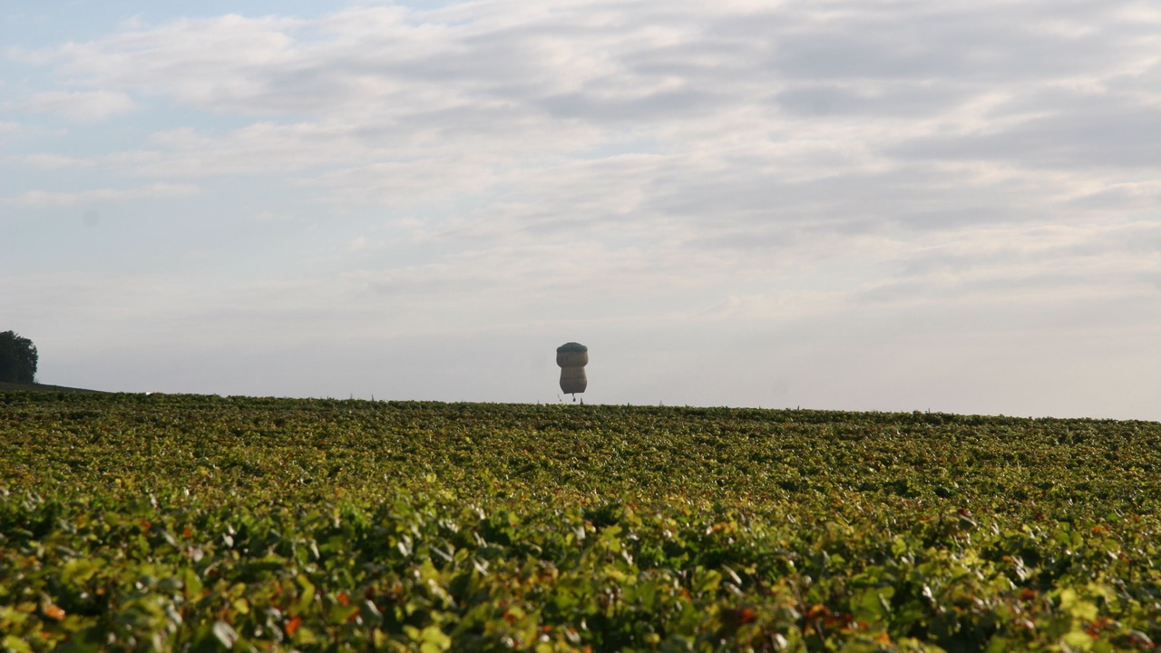 Photo of Outdoor in Vertus