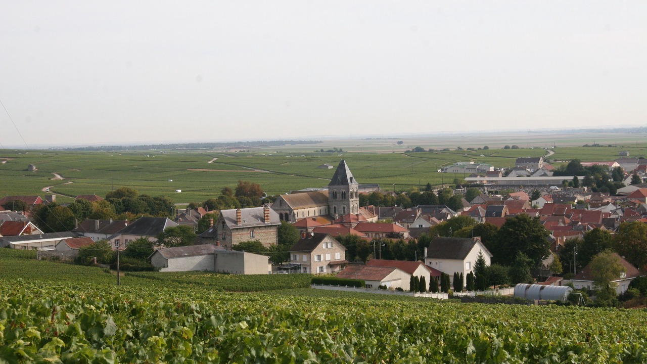 Photo of Outdoor in Vertus