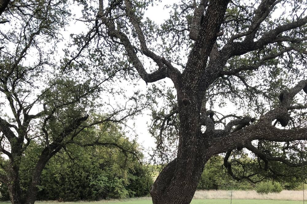 Photo of Others in Weatherford
