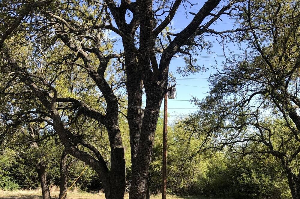 Photo of Others in Weatherford