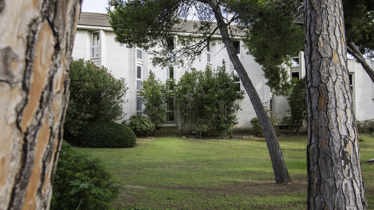 Photo of Outdoor in Gava