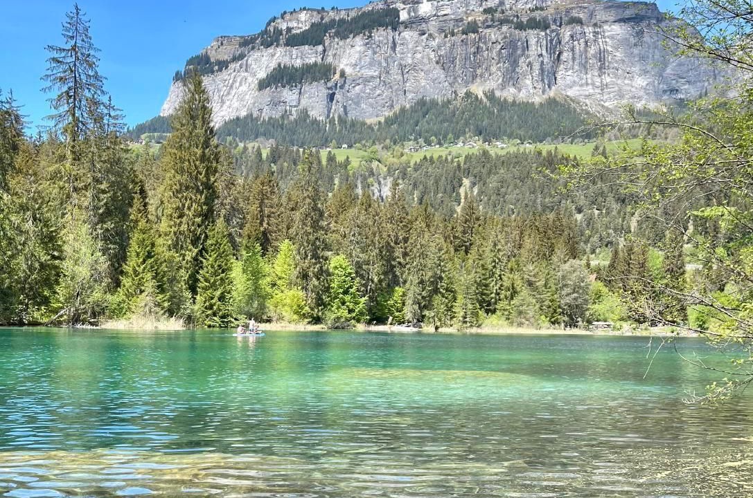 Photo of Others in Flims