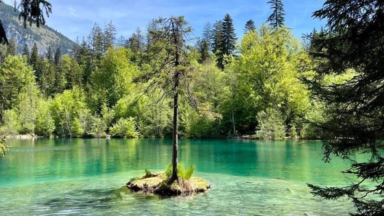 Photo of Others in Flims