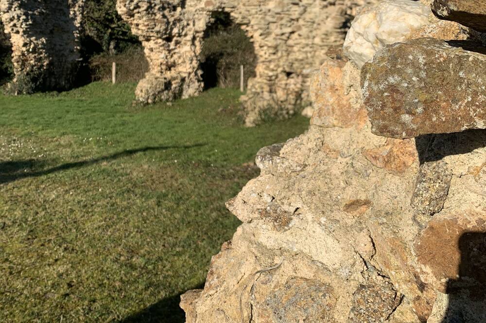 Photo of Outdoor in Savigny-le-Vieux