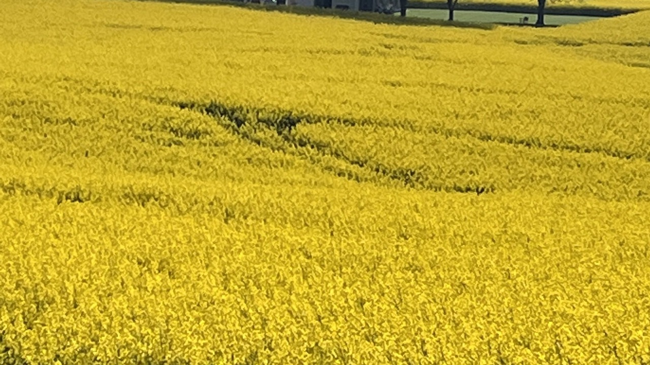 Photo of Outdoor in Sonderhav