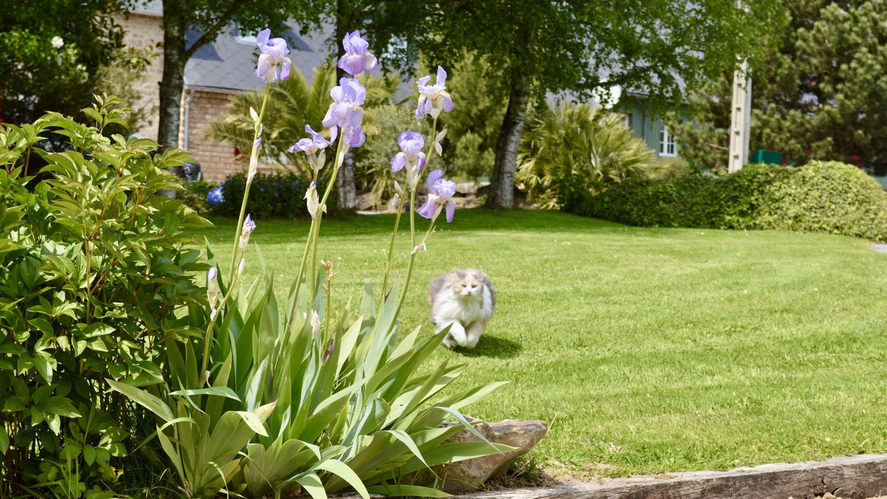 Photo of Others in Chalandrey