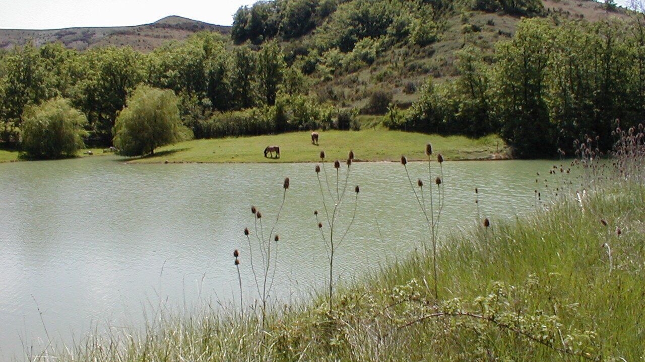 Photo of Others in Mireval-Lauragais