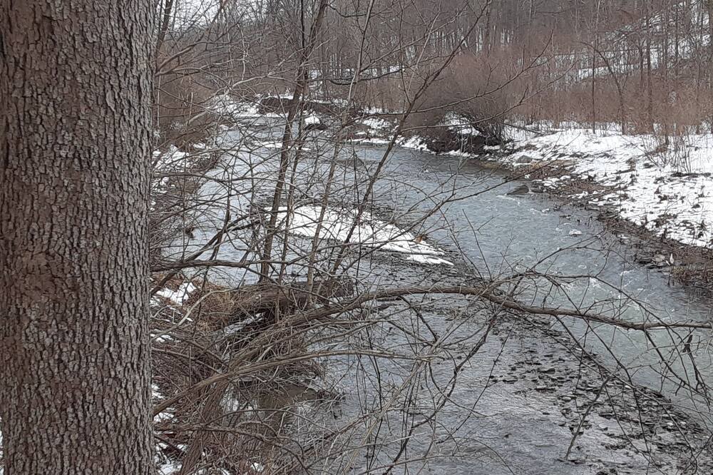 Photo of Others in Newfield