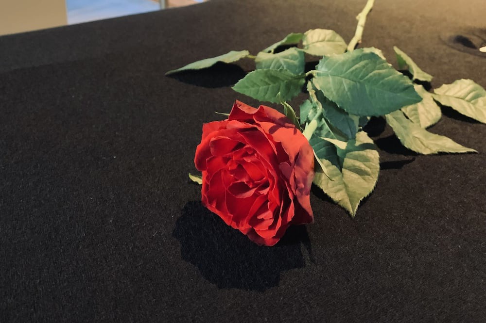 Photo of Others in Flines-lez-Raches