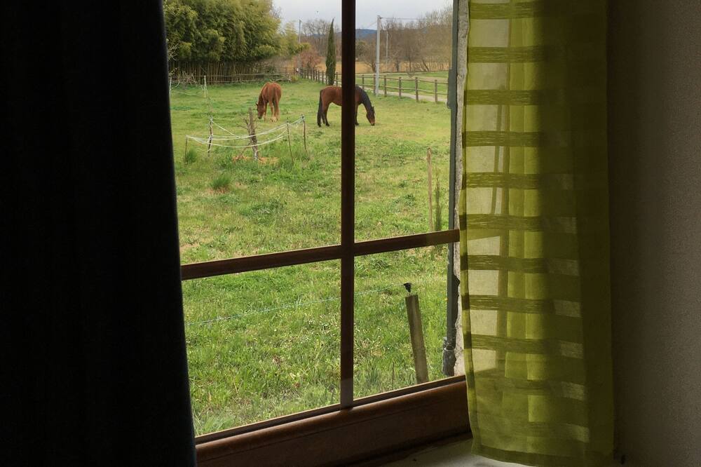 Photo of Others in Rousson