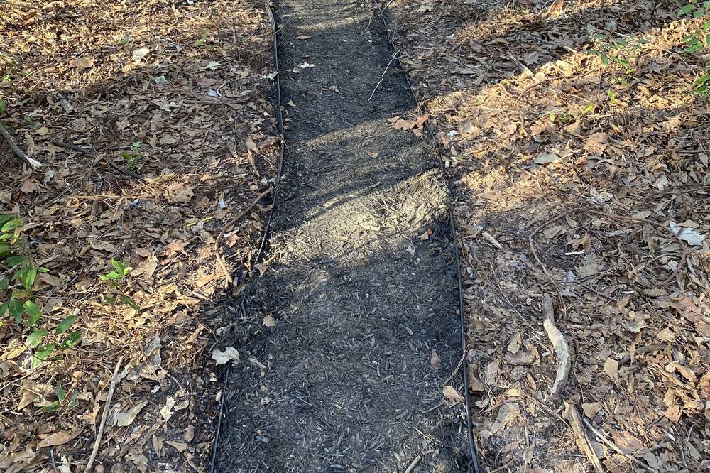 Photo of Outdoor in New Caney
