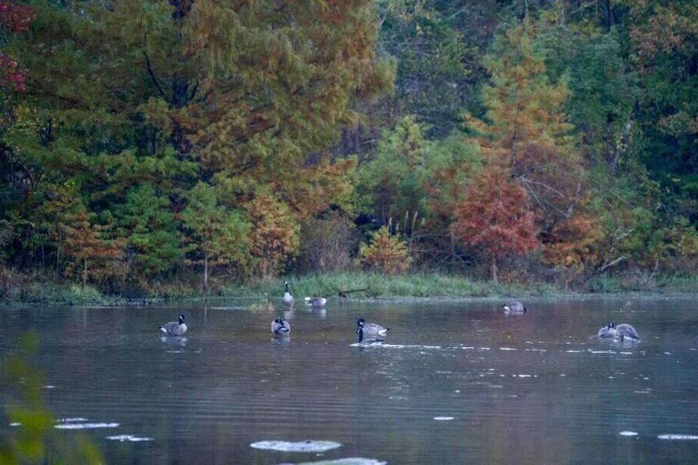 Photo of Others in Morton