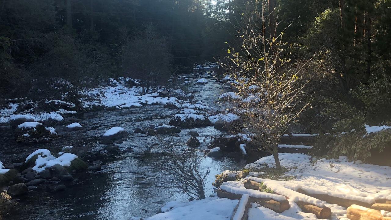 Photo of Outdoor in Kyburz
