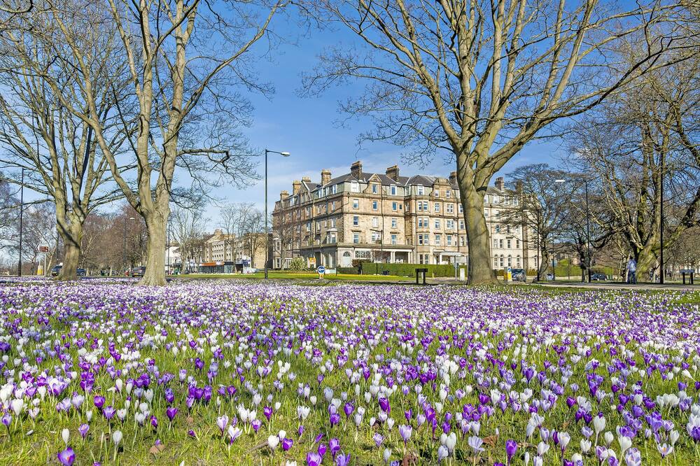 Photo of Others in Knaresborough