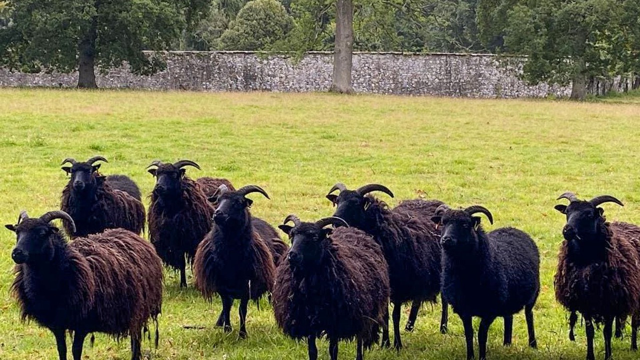 Photo of Outdoor in Perth