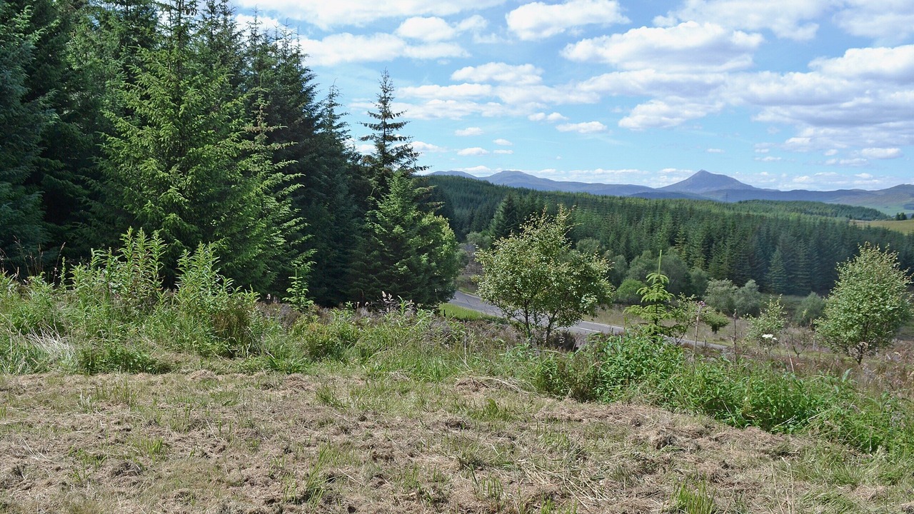 Photo of Outdoor in Perth