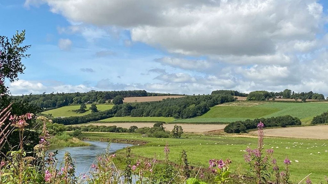 Photo of Others in Perth