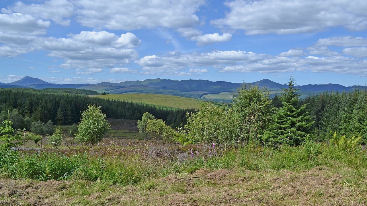 Photo of Outdoor in Perth