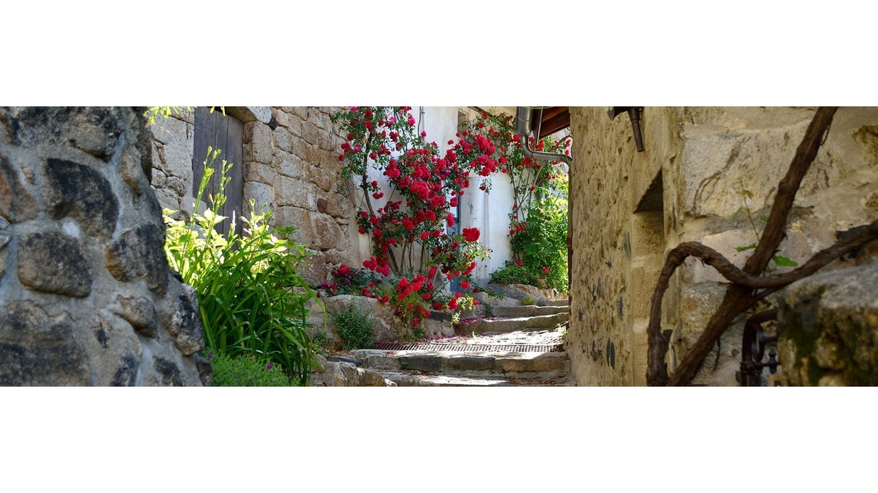 Photo of Outdoor in Labeaume