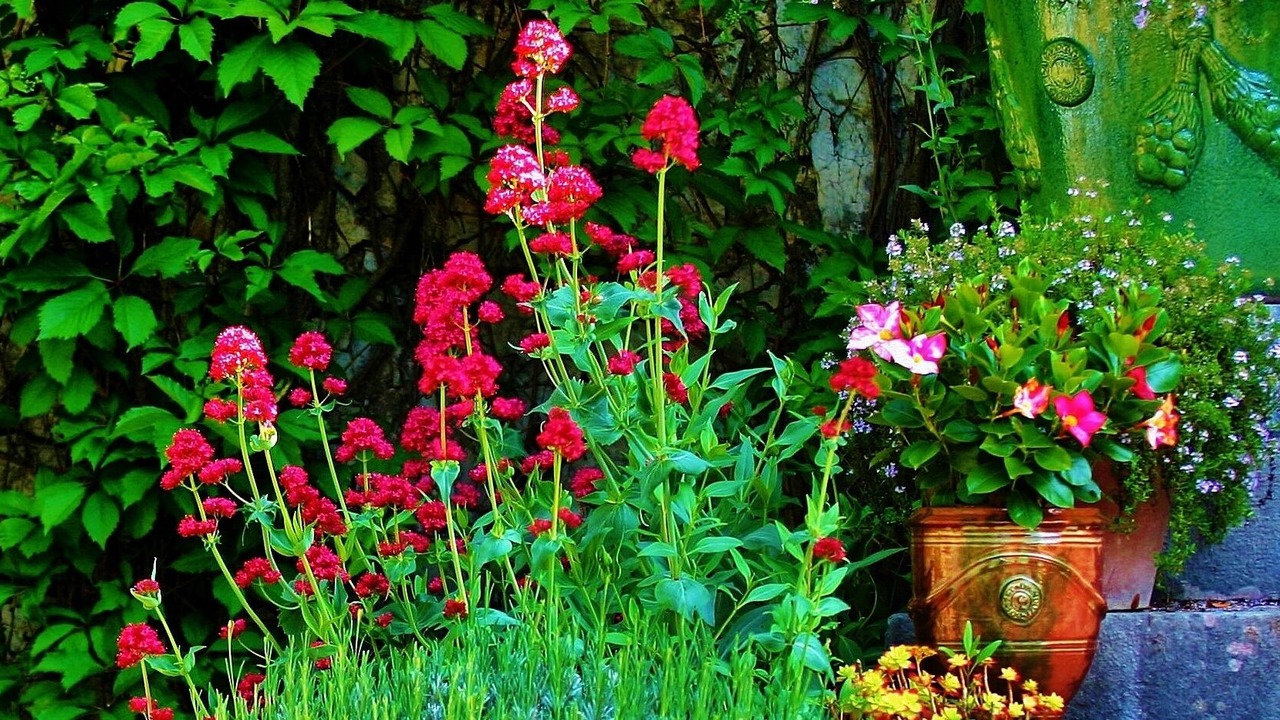 Photo of Outdoor in Labeaume