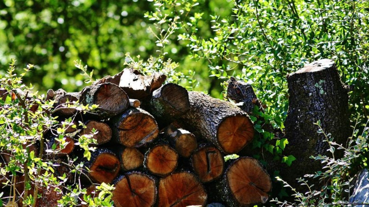 Photo of Outdoor in Labeaume