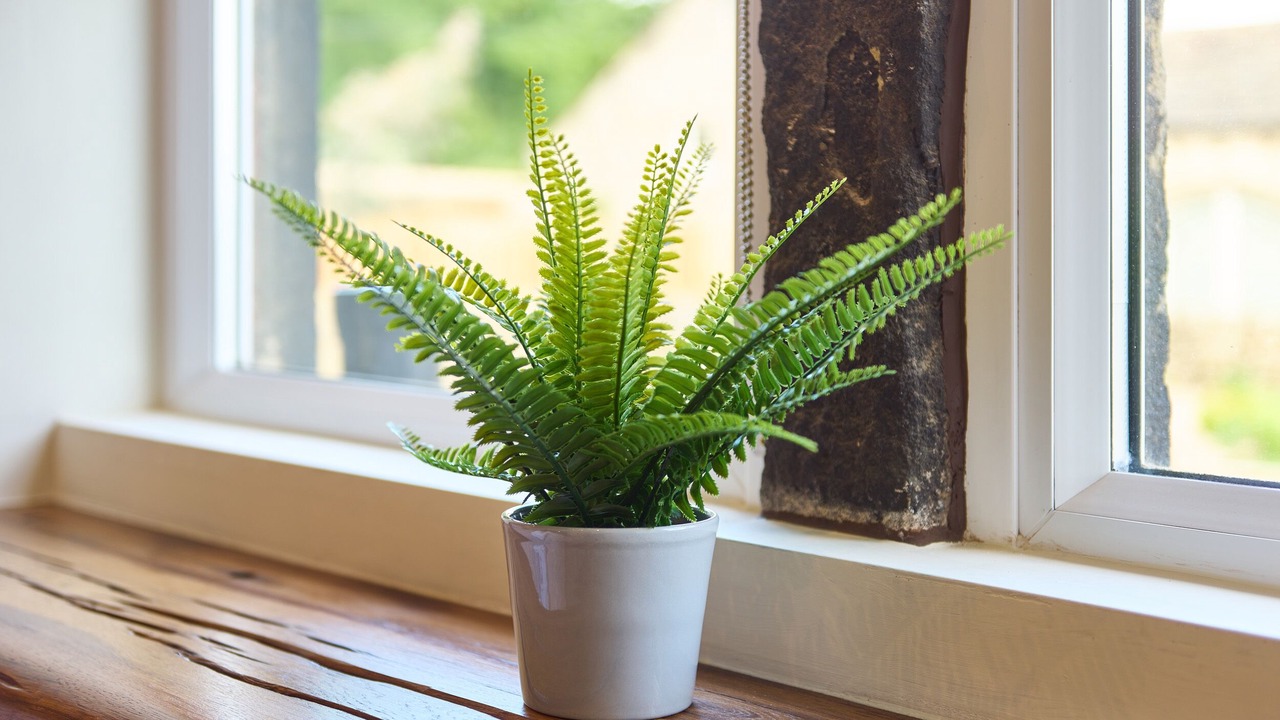 Photo of Others in Hepworth